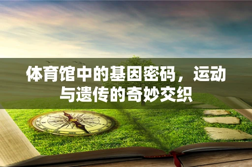 体育馆中的基因密码，运动与遗传的奇妙交织