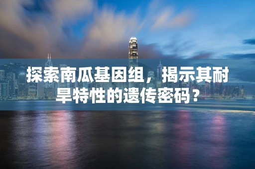 探索南瓜基因组，揭示其耐旱特性的遗传密码？