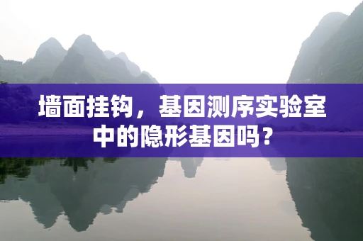 墙面挂钩，基因测序实验室中的隐形基因吗？