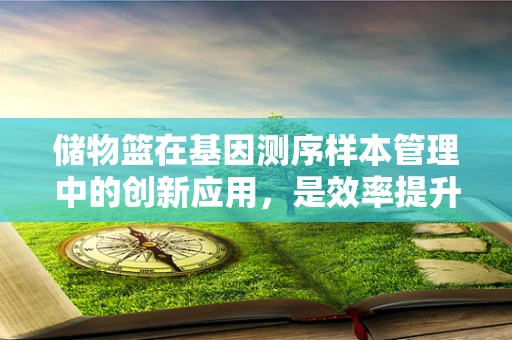 储物篮在基因测序样本管理中的创新应用，是效率提升的利器还是多余之举？