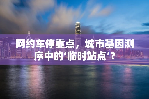 网约车停靠点，城市基因测序中的‘临时站点’？