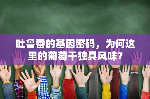 吐鲁番的基因密码，为何这里的葡萄干独具风味？