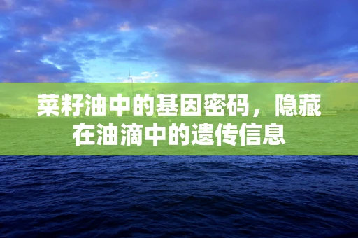 菜籽油中的基因密码，隐藏在油滴中的遗传信息