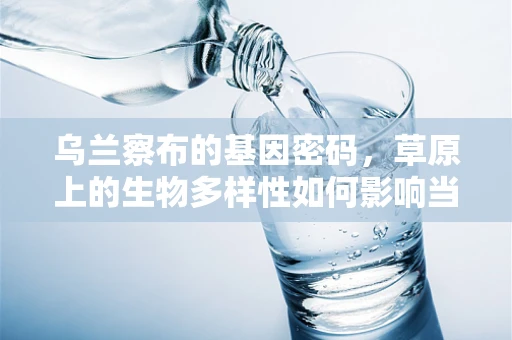 乌兰察布的基因密码，草原上的生物多样性如何影响当地生态与人类健康？