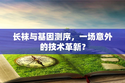 长袜与基因测序，一场意外的技术革新？