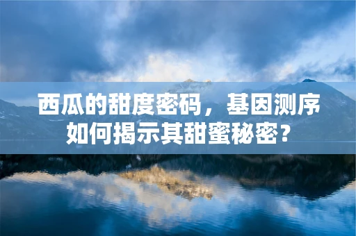 西瓜的甜度密码，基因测序如何揭示其甜蜜秘密？