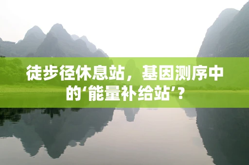 徒步径休息站，基因测序中的‘能量补给站’？