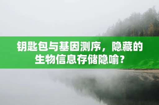 钥匙包与基因测序，隐藏的生物信息存储隐喻？