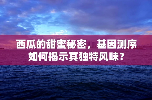 西瓜的甜蜜秘密，基因测序如何揭示其独特风味？