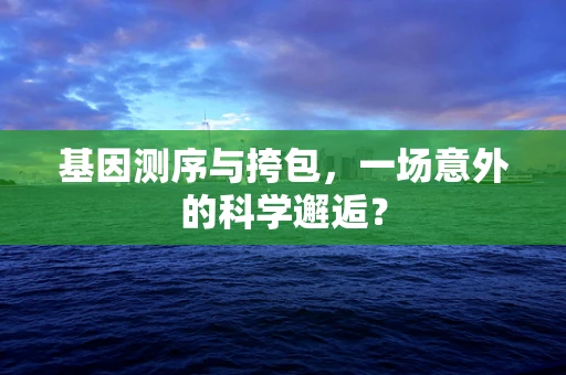 基因测序与挎包，一场意外的科学邂逅？