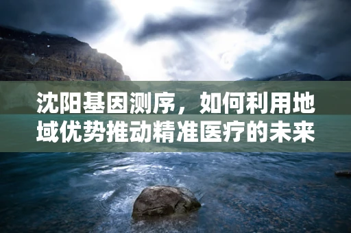 沈阳基因测序，如何利用地域优势推动精准医疗的未来？