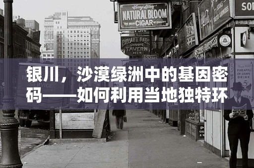 银川，沙漠绿洲中的基因密码——如何利用当地独特环境进行作物抗逆性基因研究？