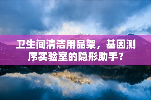 卫生间清洁用品架，基因测序实验室的隐形助手？