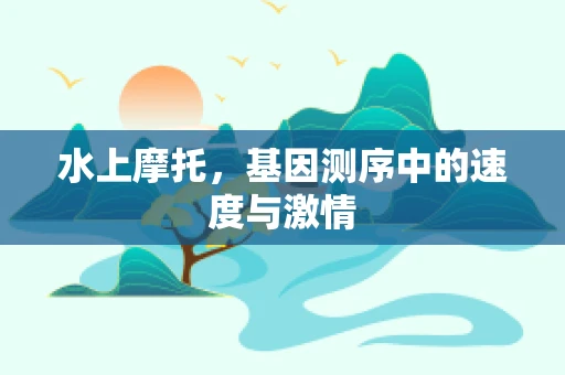 水上摩托，基因测序中的速度与激情