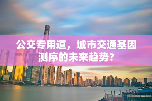 公交专用道，城市交通基因测序的未来趋势？