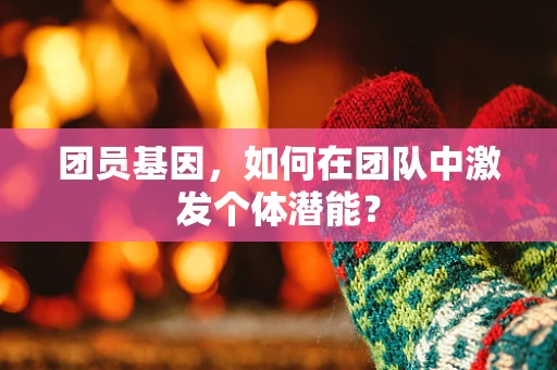 团员基因，如何在团队中激发个体潜能？