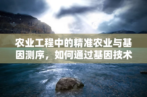 农业工程中的精准农业与基因测序，如何通过基因技术优化作物育种？