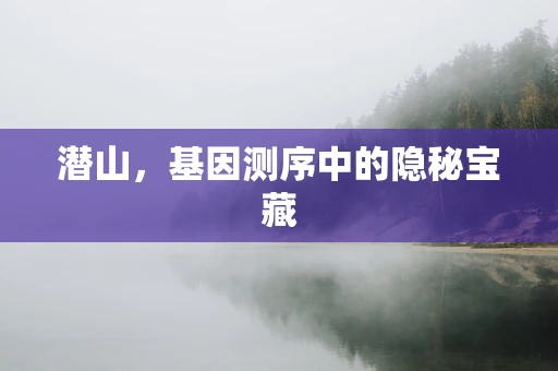 潜山，基因测序中的隐秘宝藏