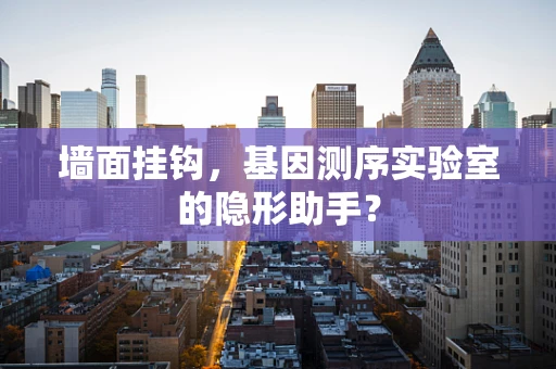 墙面挂钩，基因测序实验室的隐形助手？