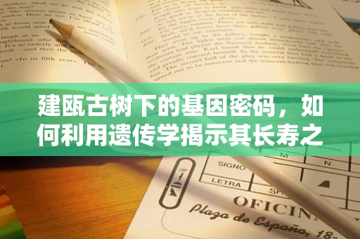 建瓯古树下的基因密码，如何利用遗传学揭示其长寿之谜？