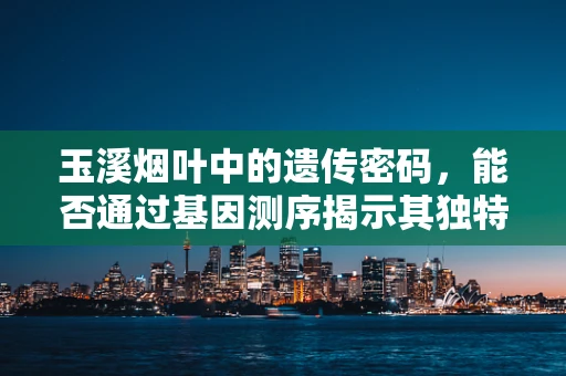 玉溪烟叶中的遗传密码，能否通过基因测序揭示其独特风味？