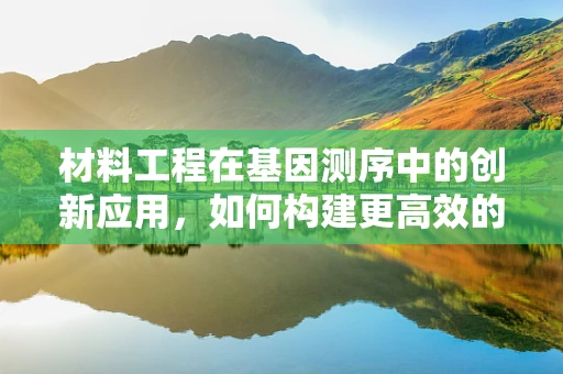 材料工程在基因测序中的创新应用，如何构建更高效的测序平台？