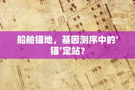 船舶锚地，基因测序中的‘锚’定站？