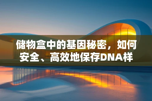 储物盒中的基因秘密，如何安全、高效地保存DNA样本？