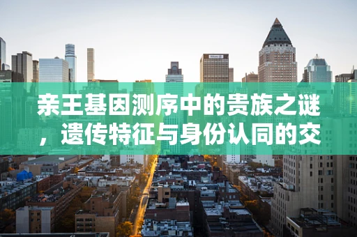 亲王基因测序中的贵族之谜，遗传特征与身份认同的交织