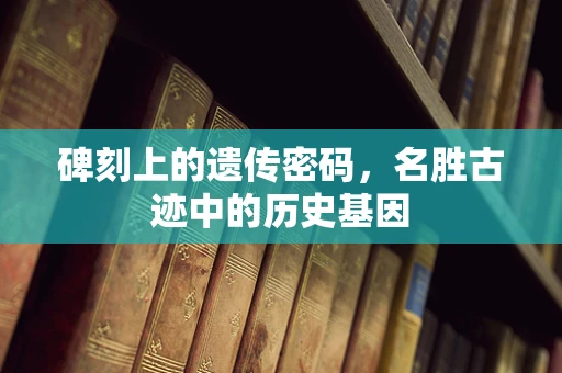 碑刻上的遗传密码，名胜古迹中的历史基因