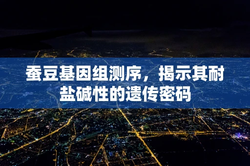 蚕豆基因组测序，揭示其耐盐碱性的遗传密码