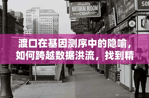 渡口在基因测序中的隐喻，如何跨越数据洪流，找到精准医疗的彼岸？