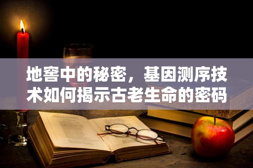 地窖中的秘密，基因测序技术如何揭示古老生命的密码？