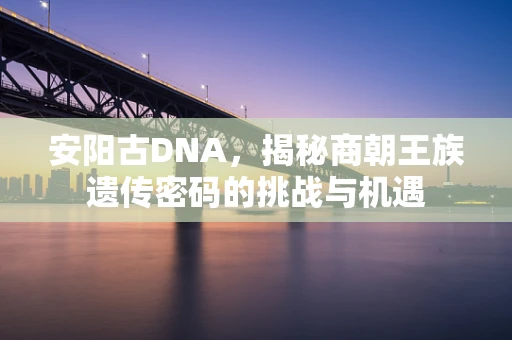 安阳古DNA，揭秘商朝王族遗传密码的挑战与机遇