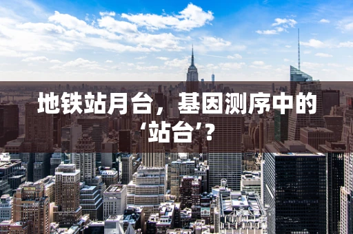 地铁站月台，基因测序中的‘站台’？