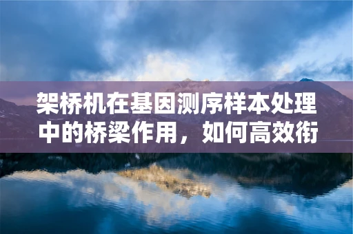 架桥机在基因测序样本处理中的桥梁作用，如何高效衔接？