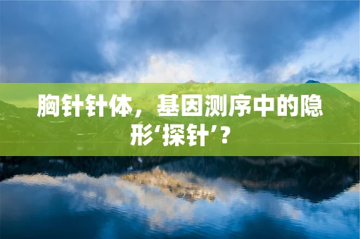 胸针针体，基因测序中的隐形‘探针’？