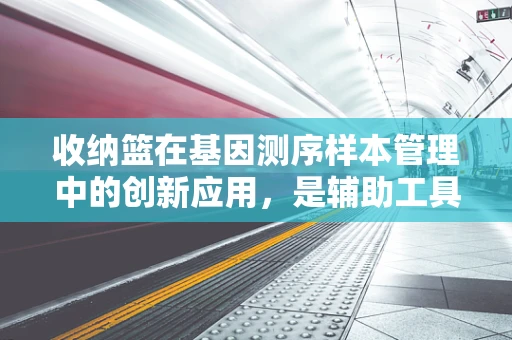 收纳篮在基因测序样本管理中的创新应用，是辅助工具还是新思维？