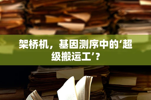 架桥机，基因测序中的‘超级搬运工’？