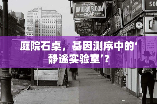 庭院石桌，基因测序中的‘静谧实验室’？