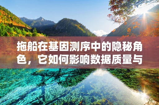 拖船在基因测序中的隐秘角色，它如何影响数据质量与处理效率？