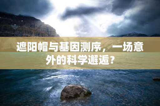 遮阳帽与基因测序，一场意外的科学邂逅？