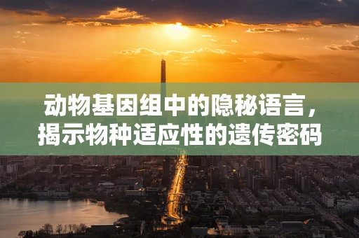 动物基因组中的隐秘语言，揭示物种适应性的遗传密码