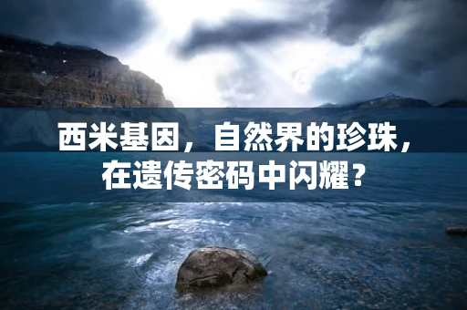 西米基因，自然界的珍珠，在遗传密码中闪耀？