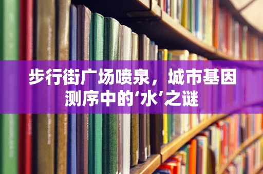 步行街广场喷泉，城市基因测序中的‘水’之谜