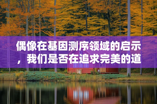 偶像在基因测序领域的启示，我们是否在追求完美的道路上迷失了方向？