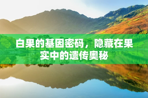 白果的基因密码，隐藏在果实中的遗传奥秘