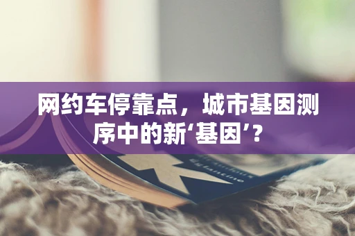 网约车停靠点，城市基因测序中的新‘基因’？