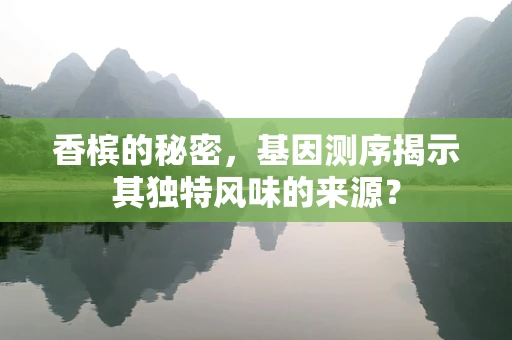 香槟的秘密，基因测序揭示其独特风味的来源？