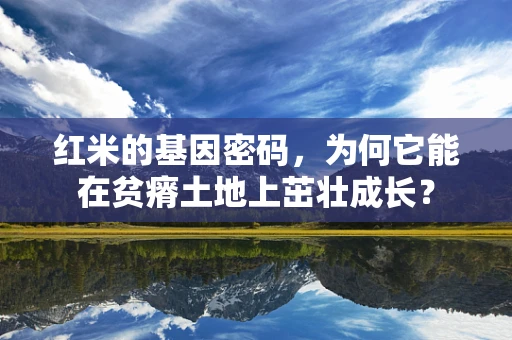 红米的基因密码，为何它能在贫瘠土地上茁壮成长？